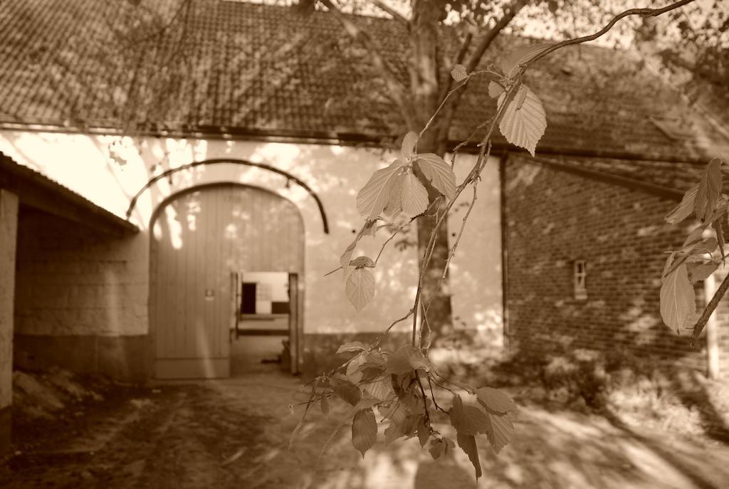 B&B De Oude Winning Riemst Esterno foto