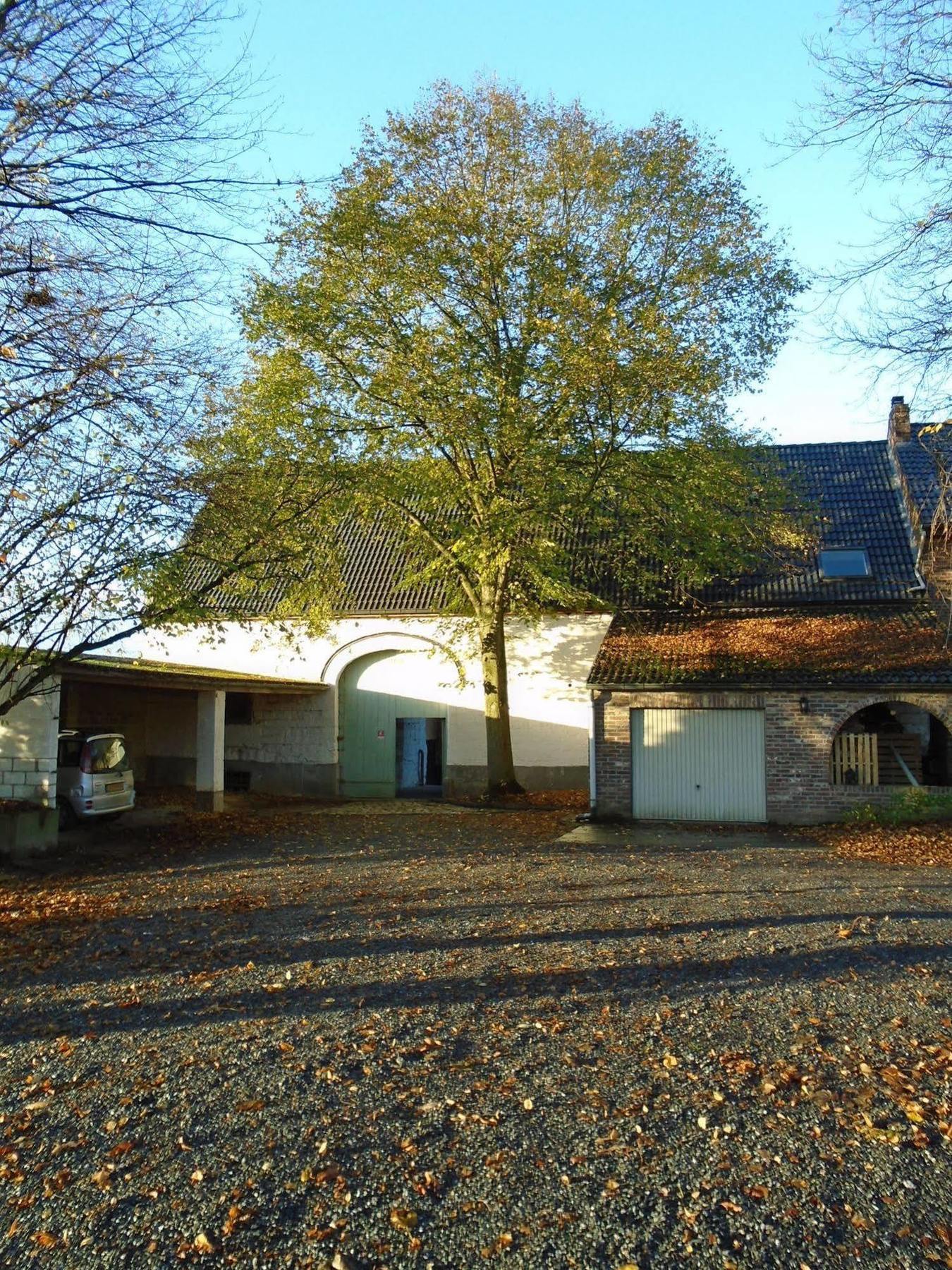 B&B De Oude Winning Riemst Esterno foto